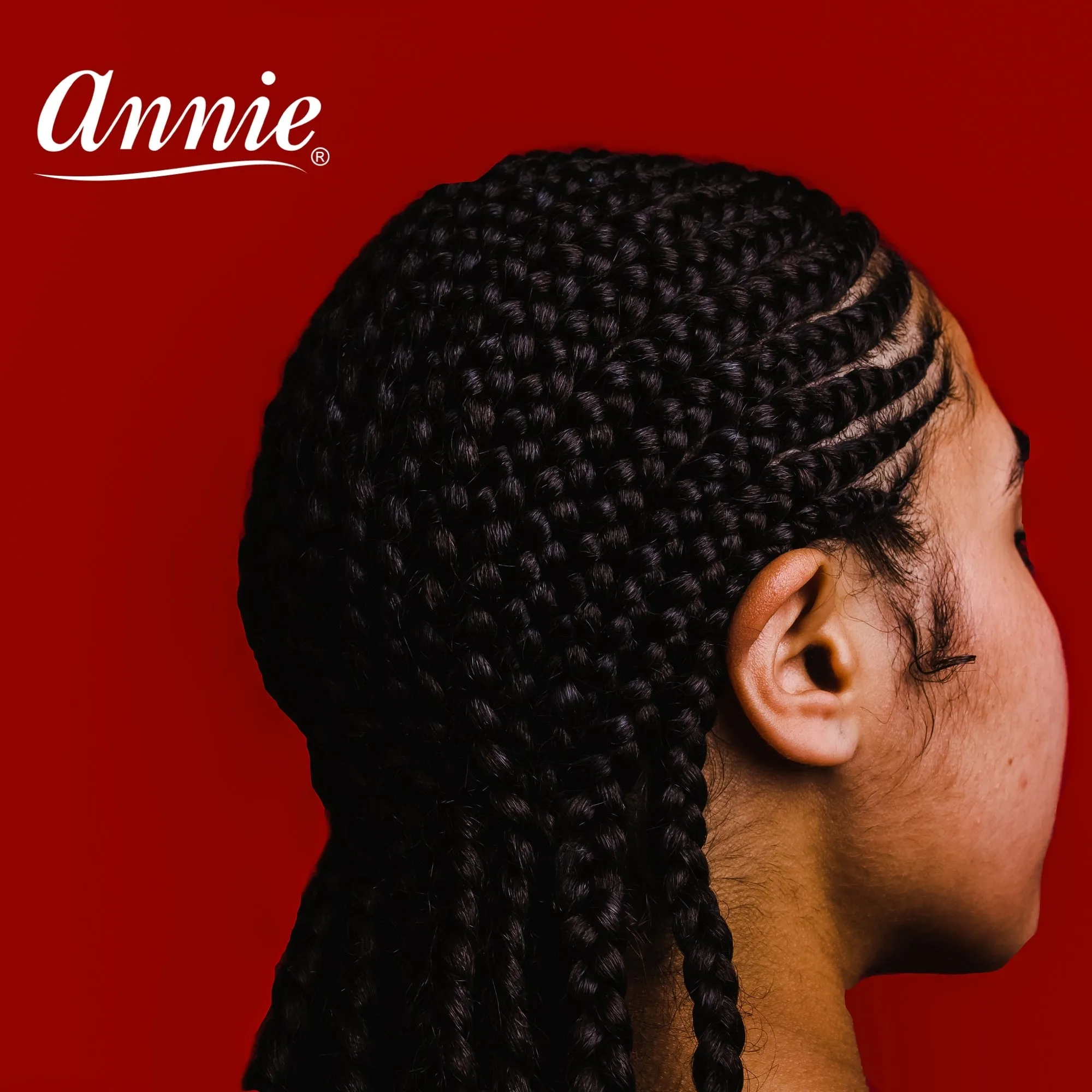 Annie Rubber Bands 300Ct Black