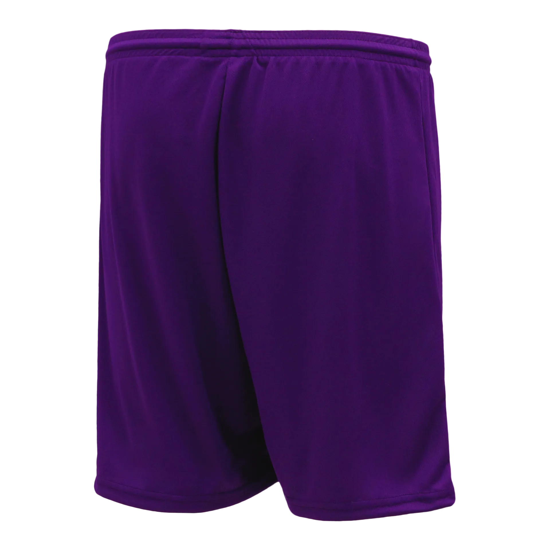 Athletic Knit (AK) VS1300L-010 Ladies Purple Volleyball Shorts