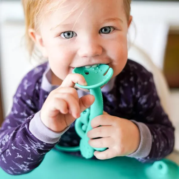 Busy Baby Teether & Training Spoon