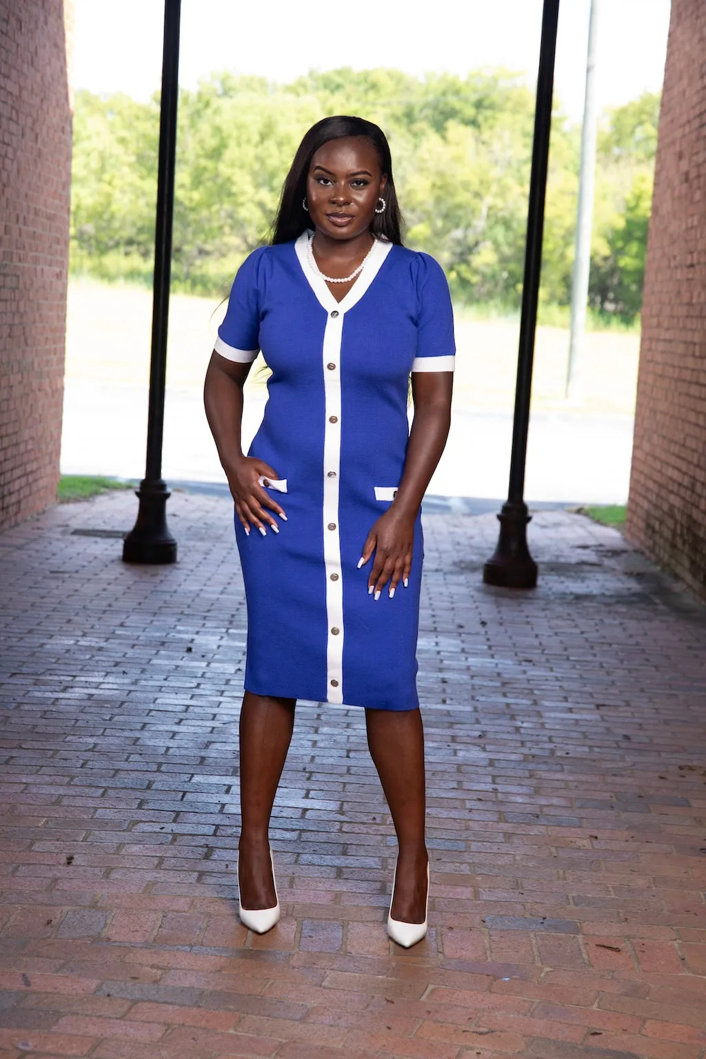 ZPHIB Blue and White Finer Dress